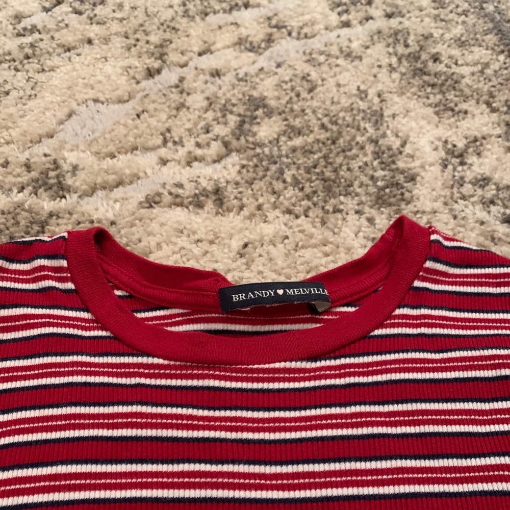 Brandy Melville Striped Crop Top